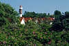 3612_ Leuchtturm Timmendorf Hausgiebel in Blumenpracht Insel Poel Küste am Meer