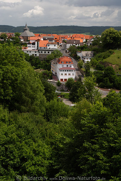 Waldeck Stadt von oben Dcher grne Wlder Naturfoto