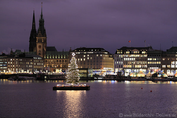 Hamburg Alstersee Weihnachtsbaum Adventslichter City-Skyline am Wasser