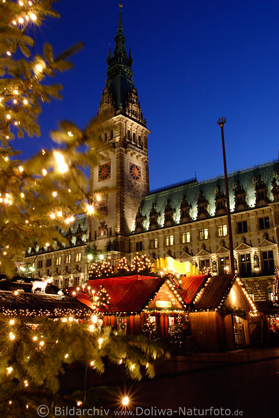 Weihnachtsmarkt Hamburg Advent Nachtlichter Rathaus Tannenbaum Kerzenlicht