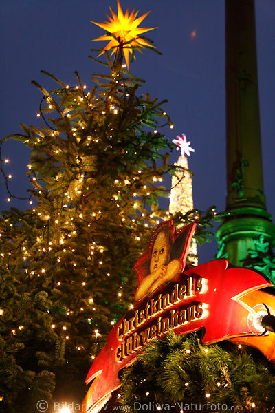 Christbaum mit Weihnachtsstern ber Christkindels Glweinhaus buntes Weihnachtsdekor auf Rathausmarkt