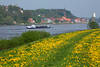 1400048_Elbdeich-Frühlingsblüte vor Lauenburg Fluss Schiff Wasser Landschaft Naturfoto