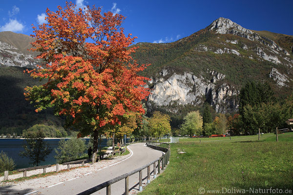 LedroSee Uferweg Herbstfarben unter Cima dOro Gipfel