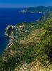 409013_Corniglia Foto: Ligurien Stadt am Felsen Cinque Terre Meerküste Panorama grüne Terrassenfelder