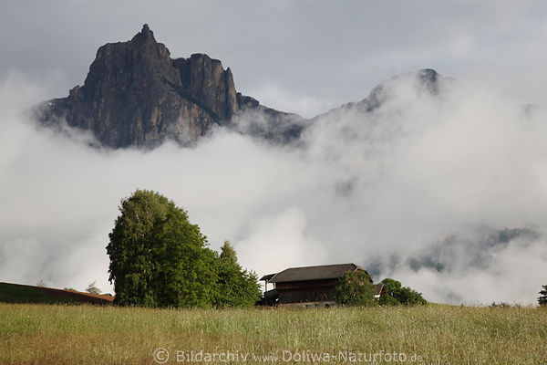 Bauernhof vor Nebelschwaden um Schlern Felsen Sdtirol Landschaft Stimmungsfoto