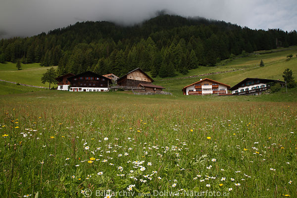 Pufels Bilder Bulla Bergdorf in Natur Sdtirol Hochlage Urlaub abgelegen unter Seiser Alm