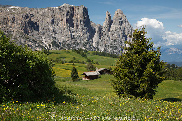 Schlern-Panorama Landschaftsbild Dolomiten-SeiserAlm Sdtirol Naturpark Berghtten