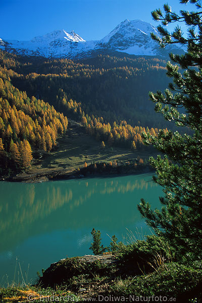 Grner Zufrittsee Wasser mit Wald der Lrchenlandschaft Naturfoto bunte Herbstfarbe