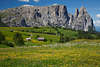 Schlern Santner Seiser Almwiesen Blumenlandschaft Sdtirol Dolomiten