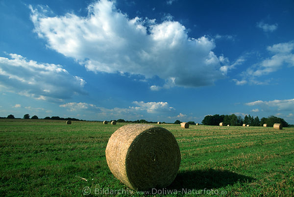 Strohballen Bild auf Stoppelfeld unter Wolke am Blauhimmel, Ackerfeld Agrarland
