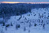3072_Blaue winterliche Heidelandschaft Naturfoto in Dmmerung Stimmung nach Sonnenuntergang