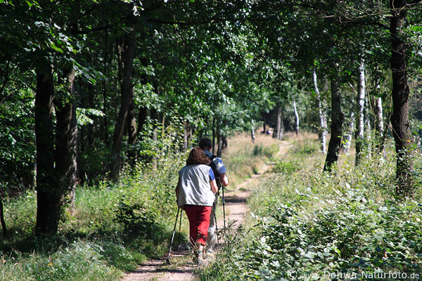 Waldweg Nordic Walking Seniorenpaar Wanderer Lüneburgerheide