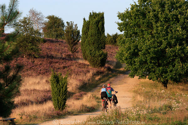 Radfahrer Paare Foto, Radausflug, Aktivurlaub, Lneburger Heide Bltezeit, Radwandern
