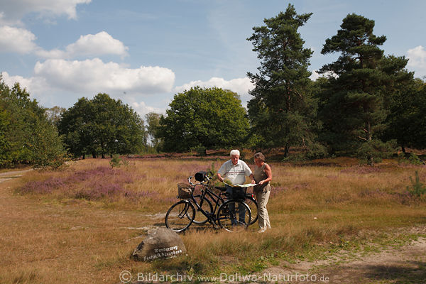 Senioren Paar mit Rad lesen Karte Aktivurlaub Heidelandschaft