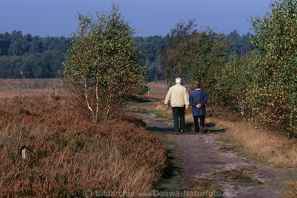 Heidepfad Senioren Paar Spaziergänger Wanderweg durch Baumallee