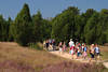Schulkindergruppe auf Heideweg in Naturbild Lneburgerheide wandern bei Erikablte