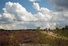 002048_Wanderer-Paar Senior-Duo Foto auf Wanderweg in Heidelandschaft Wolkenstimmung Naturbild