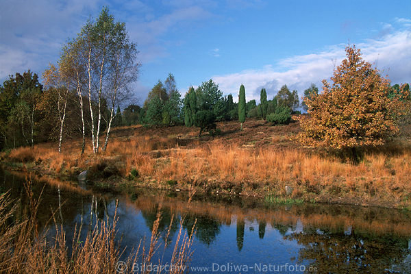 Herbst an Wmme-Quelle, Fluss Ursprung, Heidelandschaft, Gewsser im Naturschutzgebiet