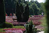 808679_ Hpener Gartenpark farbige Gewchsrabatten zwischen Wacholder, Bnke & Parkbesucher Bild