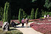 808706_ Heidebesucher Bild, Senioren Freizeit auf Gartenwegen in Urlaub spazieren in Heidegarten Hpen
