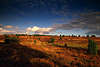1090_Heidelandschaft Abendstimmung Naturbild ziehender Wolken ber Heideflchen kurz vor Sonnenuntergang