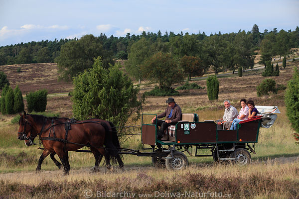 Pferdewagen Kutsche Foto mit Touristen-Trio in Heidelandschaft Naturweg kutschieren