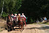 58358_Pferdekutsche Touristen auf Sandweg Lneburgerheide Foto: Wander-Feldweg Kutschfahrt bei Schneverdingen