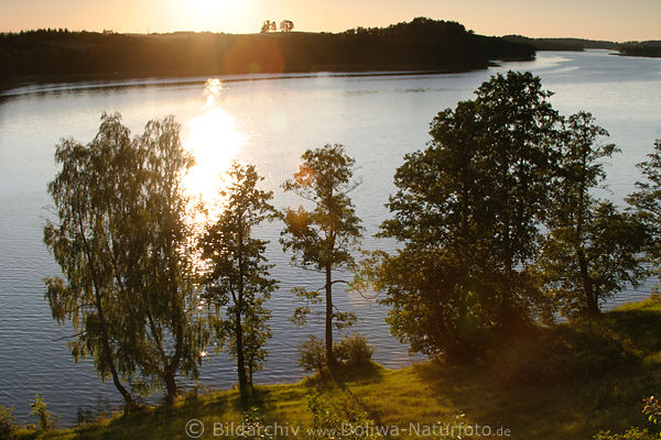 Wasserufer Bume in Sonne-Gegenlicht Masurens Hessensee Naturfoto Mazury jezioro Wojnowo sunset