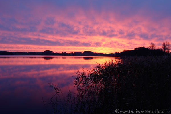 Sonnenaufgang rotglhender Himmel ber See Naturschauspiel Wasser Landschaft Masuren Romantik Mazury