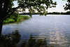 Sonnenreflexe in Wasser Wojnowosee Ufer Masuren Naturbilder Seeufer Reflexe ruhige Wellen