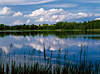 Masuren blauer See Wasser-Landschaft Wolken-Spiegelung Hessensee Ufer Schilfgras Panorama Mittelformat