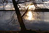 Salpia Krösten See Uferbaum Sonnenaufgang in Masuren Landschaft Prazmowo Mazury Legiener See Jagodne