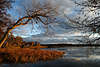 Morgensonne Rotlicht Stimmung in Rodenau Masuren Herbst am Wasser Bäume Schilfufer Krösten See in Kozin Sonnenaufgang jezioro Jagodne Mazury