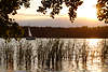 Masuren Sonnenuntergang Segler Boot in Naturstimmung Jagodne See Schilf Naturfoto Mazury jezioro