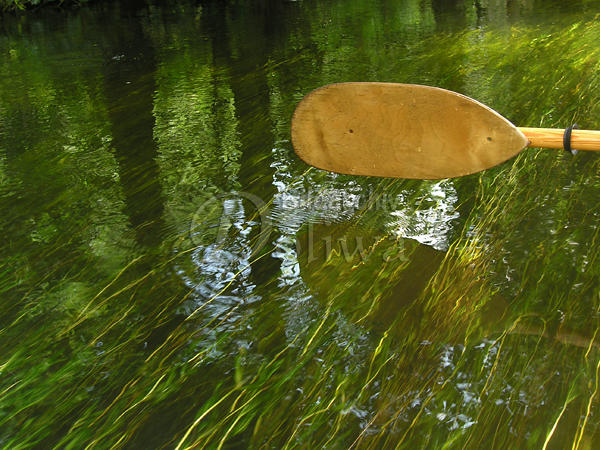 Kajak-Paddel ber Flubett Wasserpflanzen Krutynia in Masuren Naturreservat