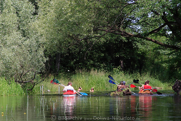 Paddelboot-Trio Wanderfahrt in Krutynia-Fluss Masuren Wasserdschungel