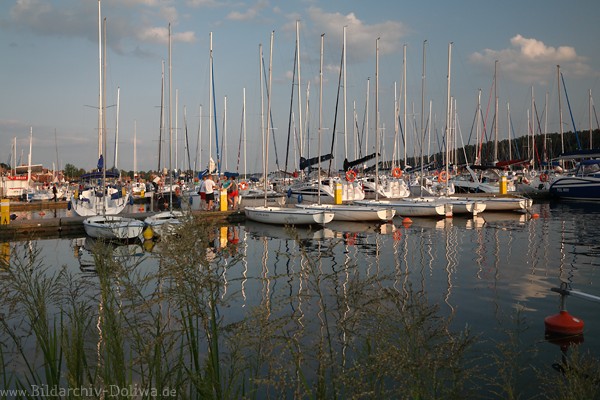 Nikolaiken Seglerhafen Boote See Port in Masuren Foto 1302299 Jachtmaste in Abendlicht Mazury