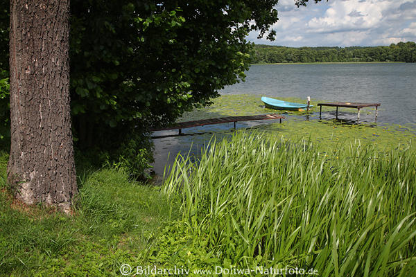 Czos-See Schilfufer Baum Wasser Boot Steg Naturidylle in Sensburg Masuren Landschaft