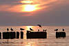 Ostsee-Sonnenuntergang über Wasserpfahle mit Möwen vor Seehorizont in Gegenlich