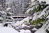 40327_Brcke ber Bergbach Chocholowski Potok in Schnee Winterbild in Natur Nationalpark Hohe Tatra