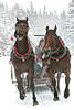Pferde Schlittenfahrt Winterfotos Kutscher Ausflug sledges cavalcade photos