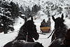 40653_Pferdeschlitten Ausflug in Fahrt auf Winterweg im Nationalpark Hohe Tatra