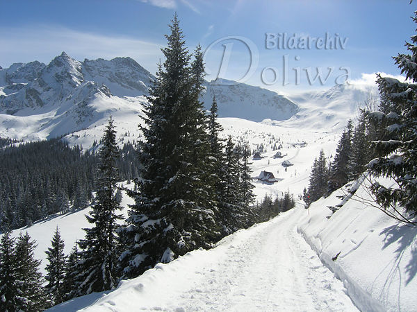 Hohe Tatra weisse Winterlandschaft Bergtal Gasienicowa vor Kasprowy Wierch