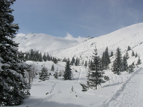 Bergtal im Schnee Winterfoto Bume weisse Berglandschaft im Skigebiet Kasprowy Wierch