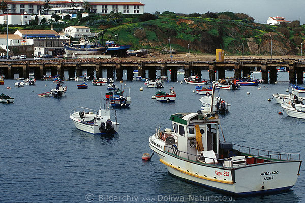 Sagres Hafen Algarve Fischerboote wildparken in Meeresbucht