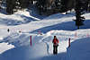 901194_ Frau in St. Moritz Foto auf winterlichen Spazierweg in Schnee, Pfad schlängelt sich rundum den See