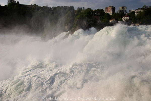 Rheinfall Wasserfall schumende Wassermassen Gischt Neuhausen Naturgewalten