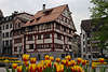 St. Gallen Fachwerkhäusern hinter Tulpen Rabatten in Schweizer Kantonhauptstadt Stadtzentrum