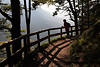 913575_Pfadkurve Holzgelnder in Waldlichtung Naturbild mit Mdchen Bergwanderer am Ausblick stehend