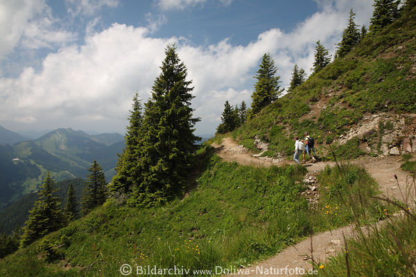 Steilhang Bergpfad Wanderer in Alpenlandschaft Panorama Naturbild Paar Bume
